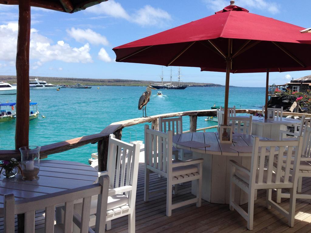 Hotel Angermeyer Waterfront Inn Puerto Ayora  Extérieur photo