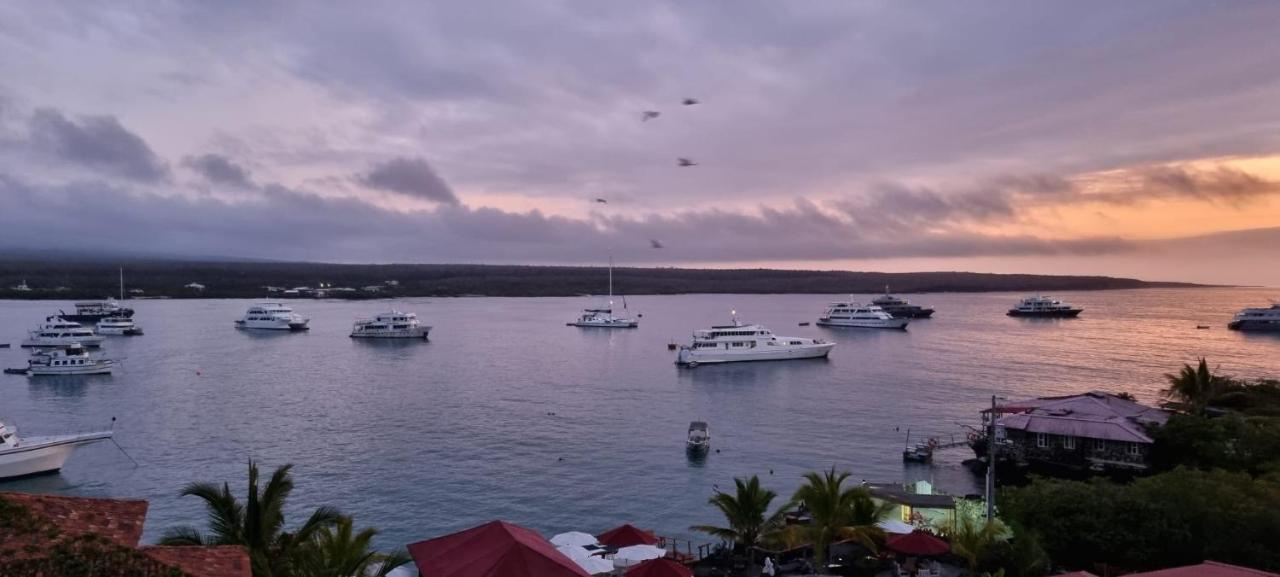 Hotel Angermeyer Waterfront Inn Puerto Ayora  Extérieur photo